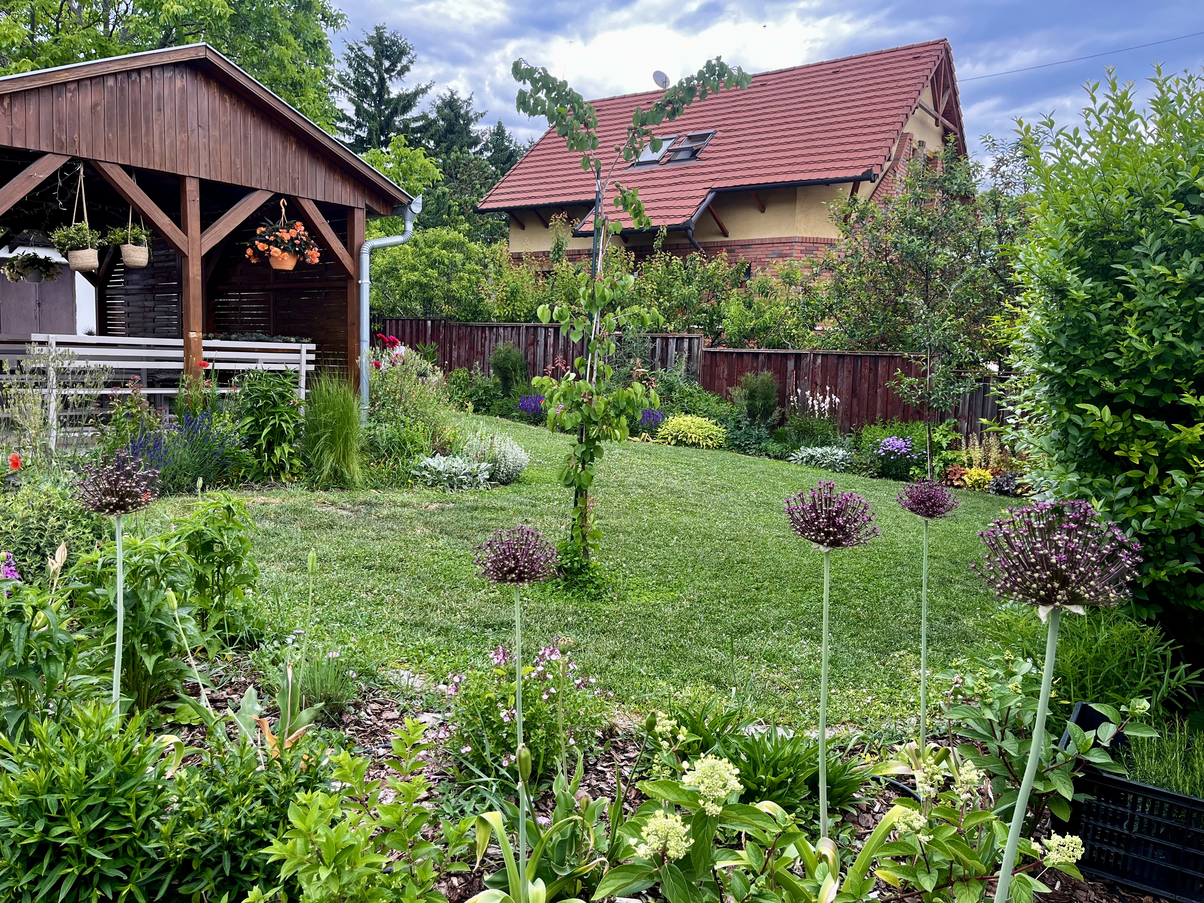 Domus Verde